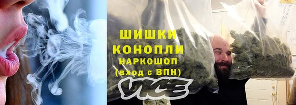 PSILOCYBIN Козловка