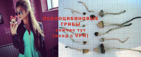 PSILOCYBIN Козловка