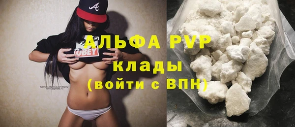 PSILOCYBIN Козловка